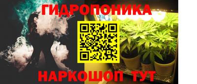 прущие грибы Балашиха