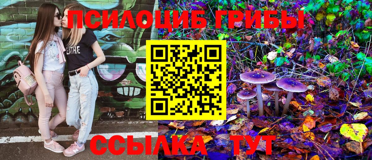 Псилоцибиновые грибы GOLDEN TEACHER  Галлюциногенные грибы Psilocybe  даркнет сайт  Гагарин  Вход с VPN 
