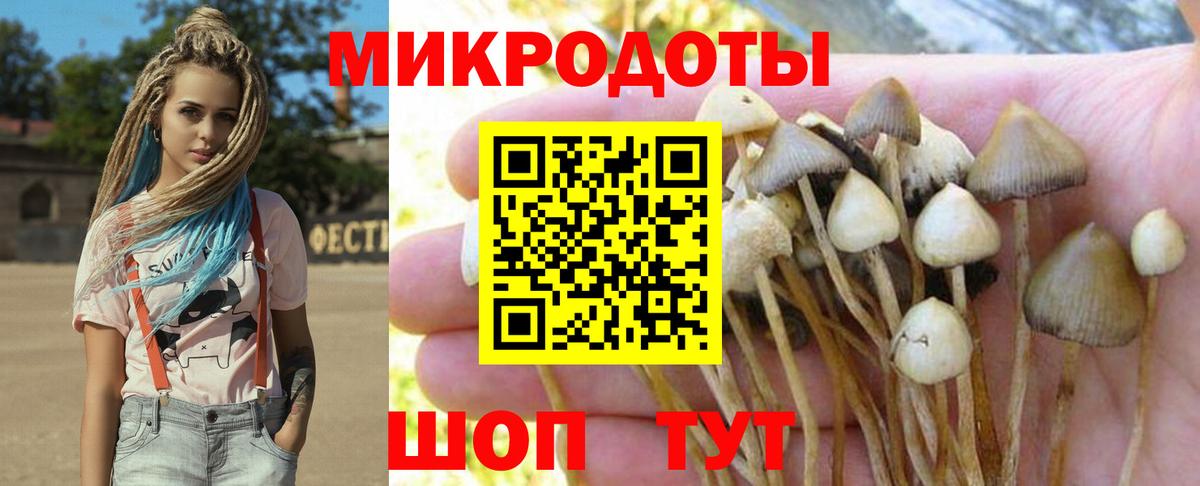 Галлюциногенные грибы Cubensis Гагарин